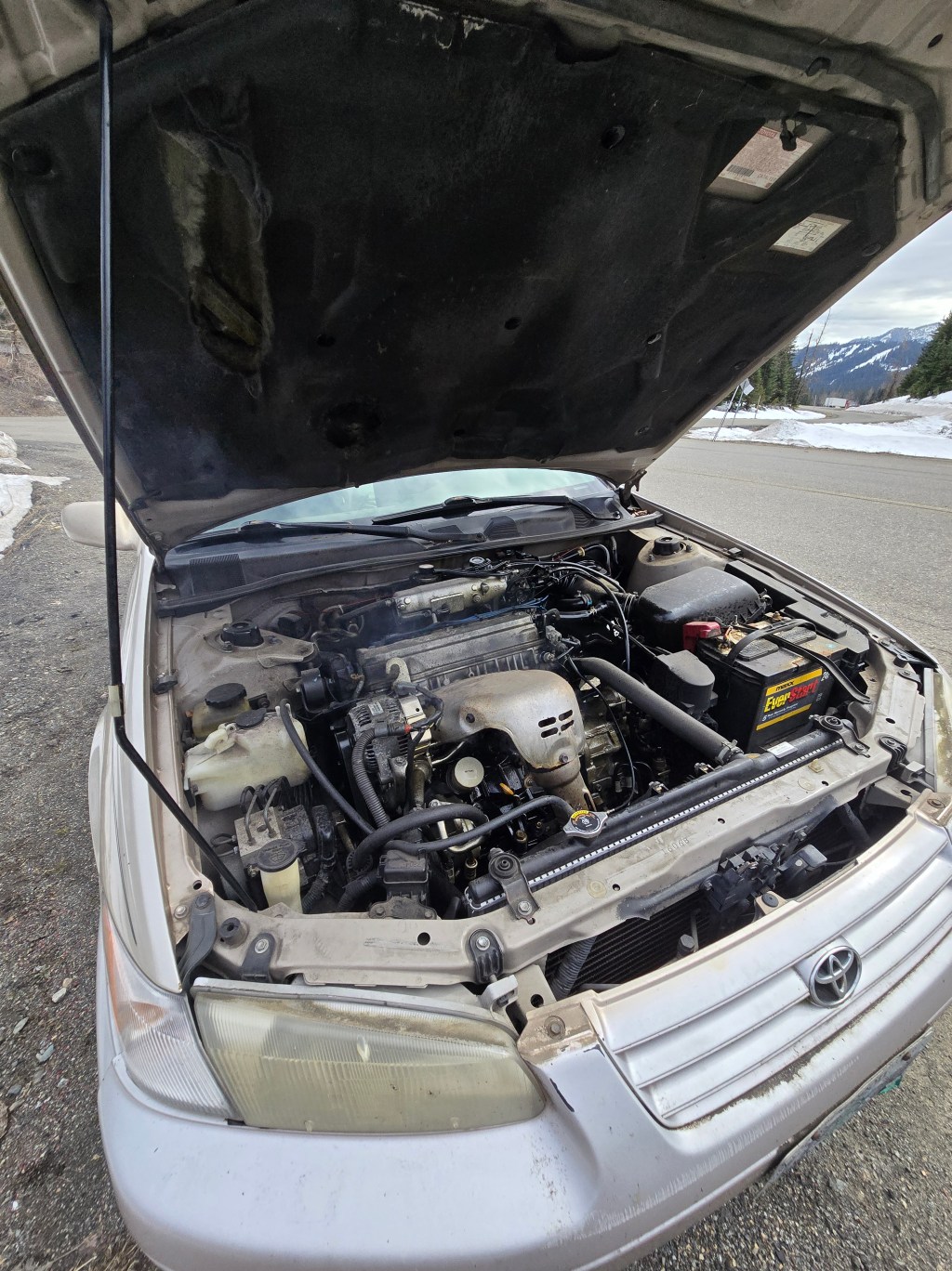 I got my biometrics done!!